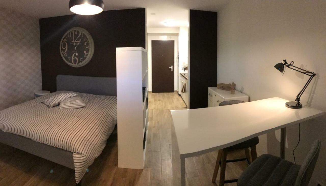 Large Studio Near Epfl And Lausanne City Center Ecublens  المظهر الخارجي الصورة