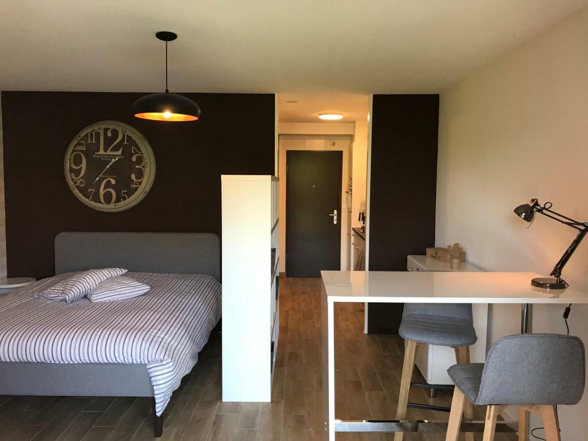 Large Studio Near Epfl And Lausanne City Center Ecublens  المظهر الخارجي الصورة