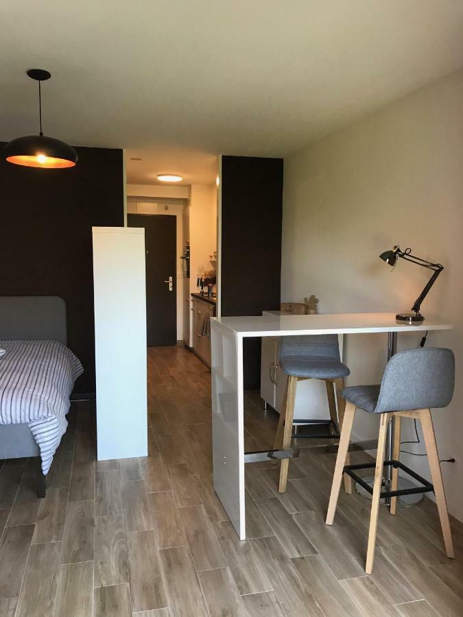 Large Studio Near Epfl And Lausanne City Center Ecublens  المظهر الخارجي الصورة