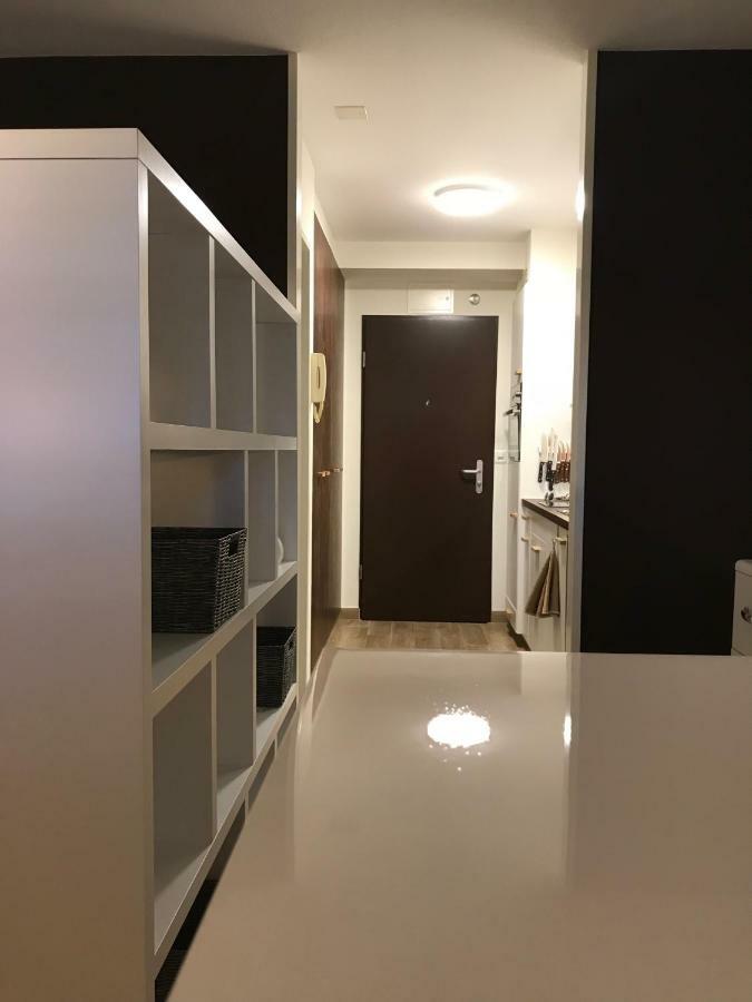 Large Studio Near Epfl And Lausanne City Center Ecublens  المظهر الخارجي الصورة
