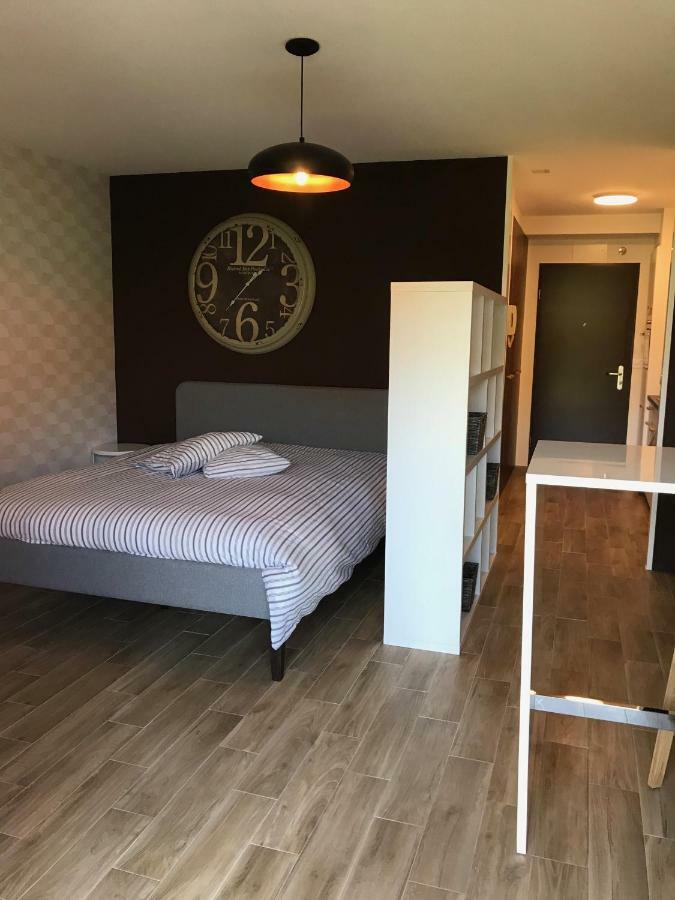 Large Studio Near Epfl And Lausanne City Center Ecublens  المظهر الخارجي الصورة